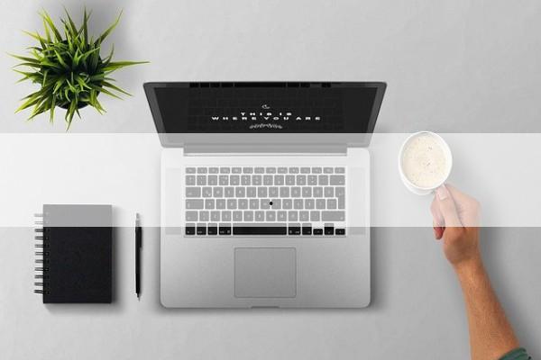 兔兔吃瓜娱乐美食,瓜果飘香，欢乐无限
